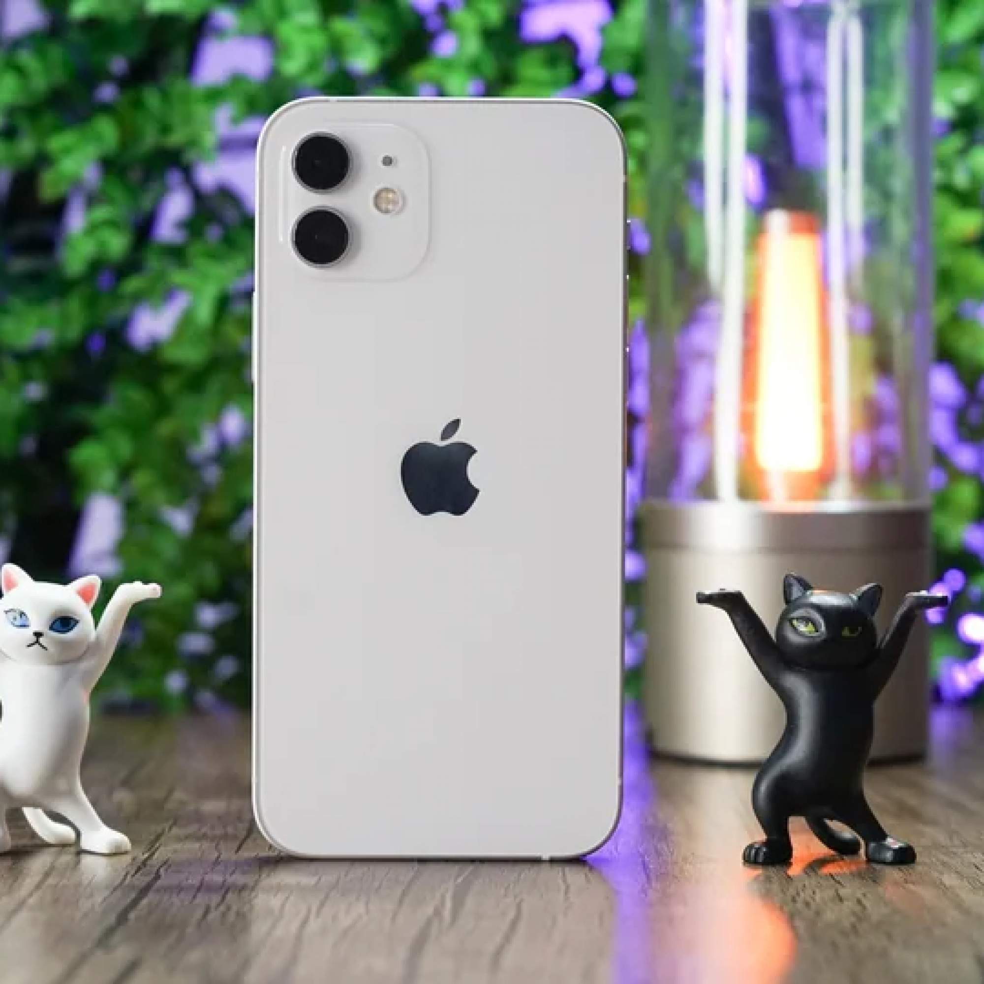 iPhone 12 ra mắt tại Việt Nam